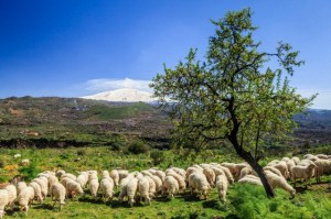 Bronte, Sicily, Italy