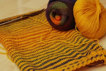 siltas siulas mezginiai